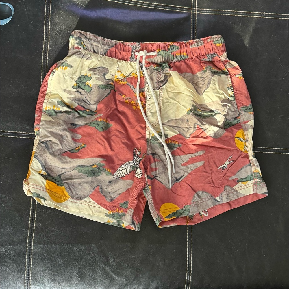 Urban Outfitters Swim Trunks
